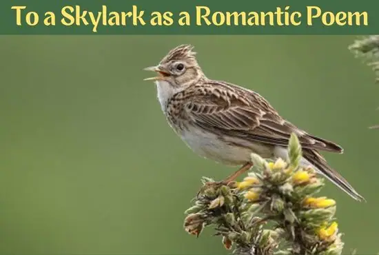 To a Skylark as a Romantic Poem To a Skylark as a Romantic Poem